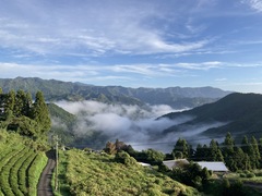 12月 DE0FE490-8185-40CE-89C1-2D511FC44149